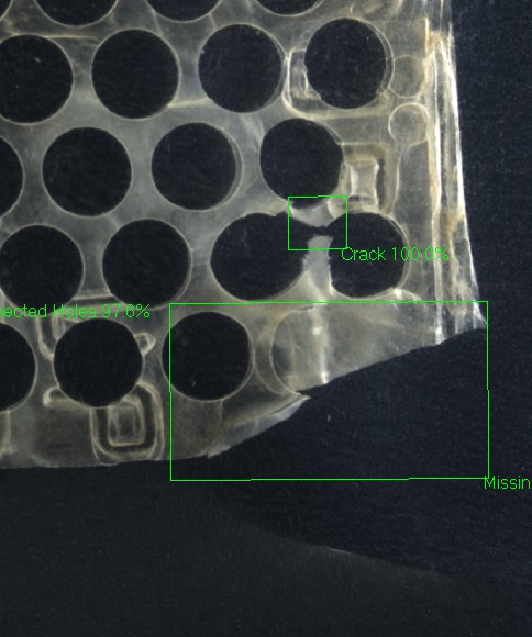 Deep-learning inspection flagging defects on a human tissue membrane graft